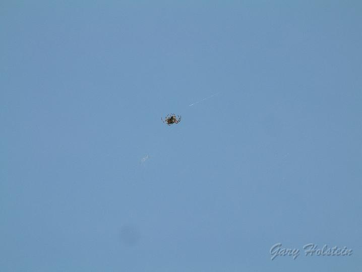 DSCF0004.JPG