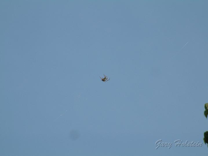 DSCF0006.JPG