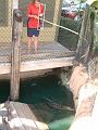 DSCF0043