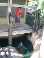 DSCF0070