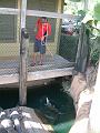 DSCF0071