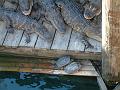 DSCF0074