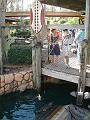 DSCF0103