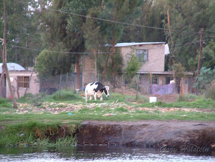 DSCF0363.JPG
