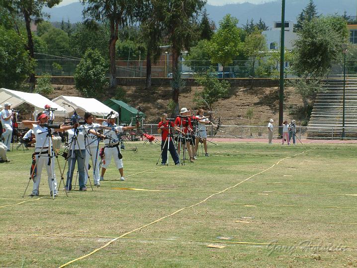 DSCF0255.JPG