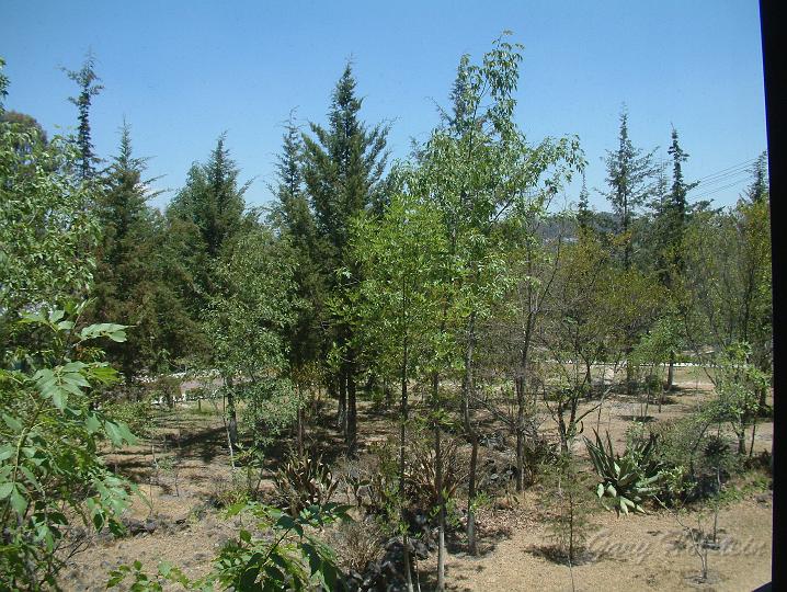 CCCC0007.JPG