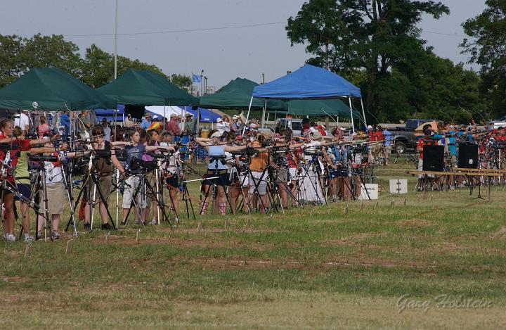 DSC_9781.JPG