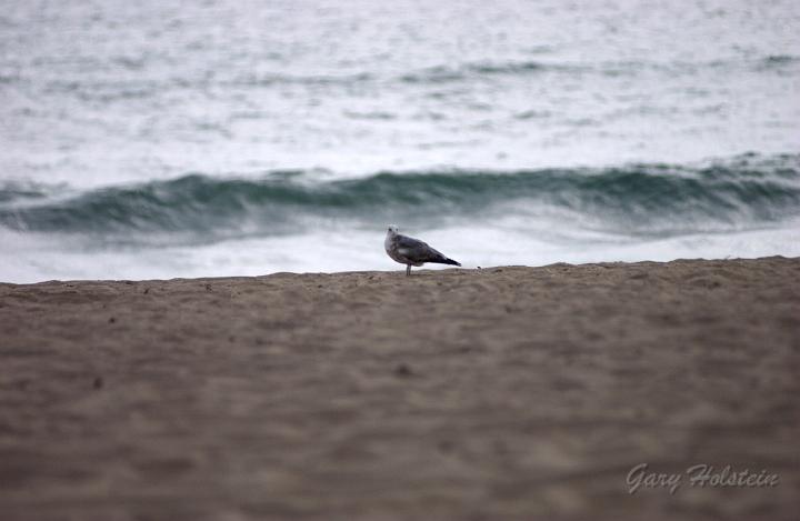 DSC_2593.JPG