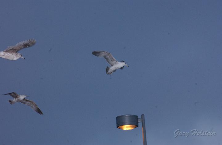 DSC_2716.JPG