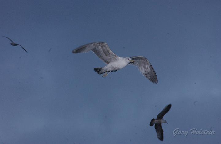DSC_2720.JPG