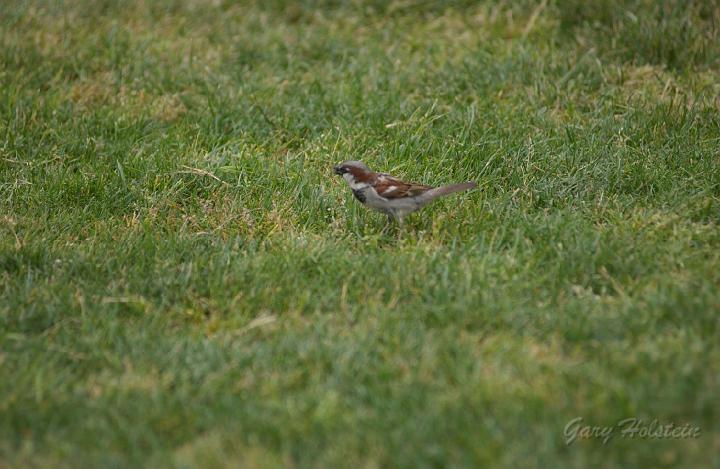 DSC_3809.JPG