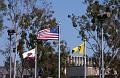 ADSC_1558_