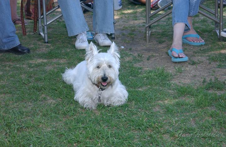DSC_4782.JPG