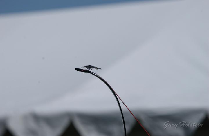 DSC_1280.JPG